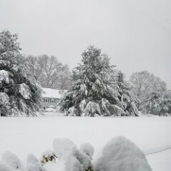 New England Snow